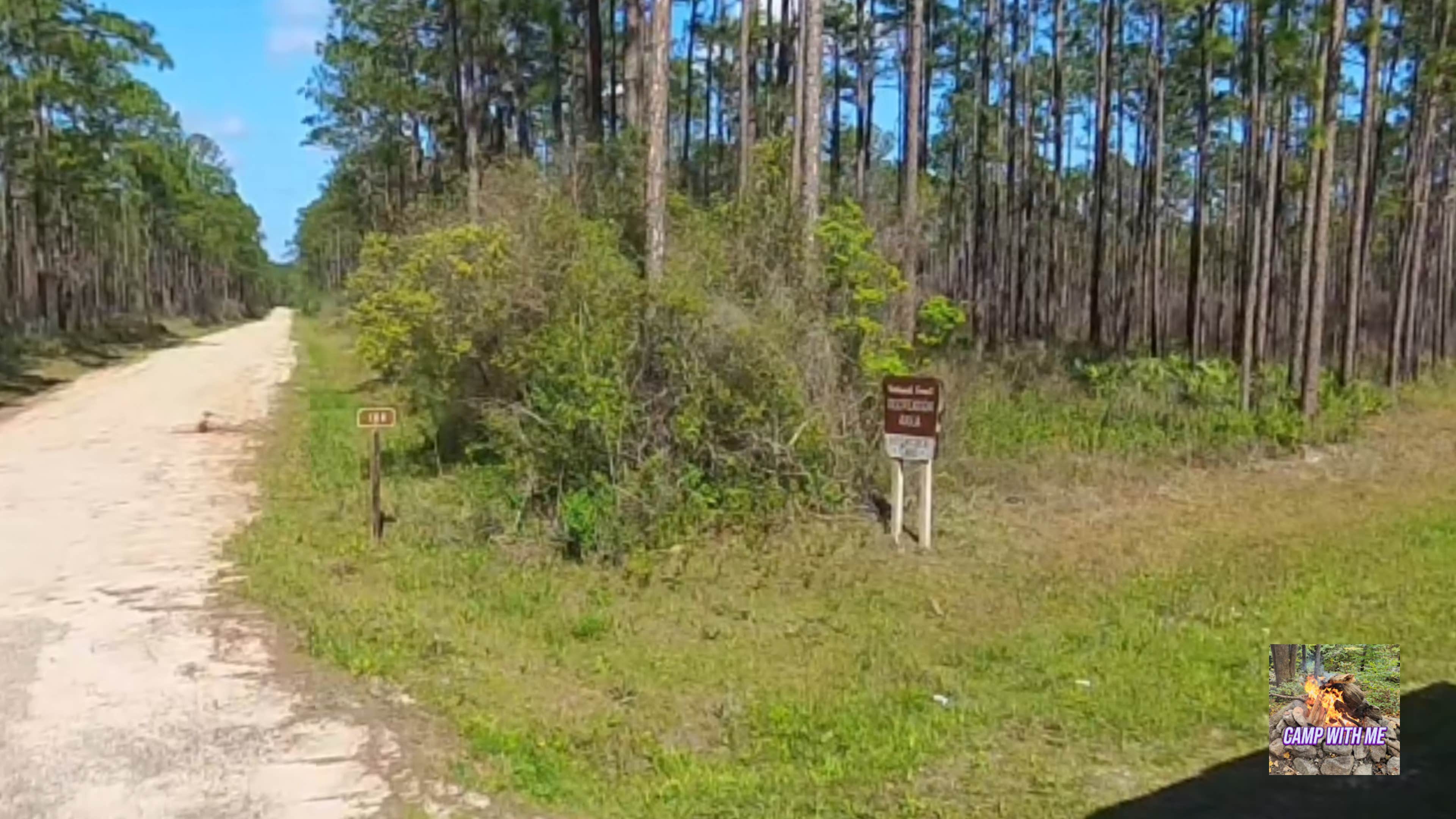 Camper submitted image from Hitchcock Lake Campground - 5