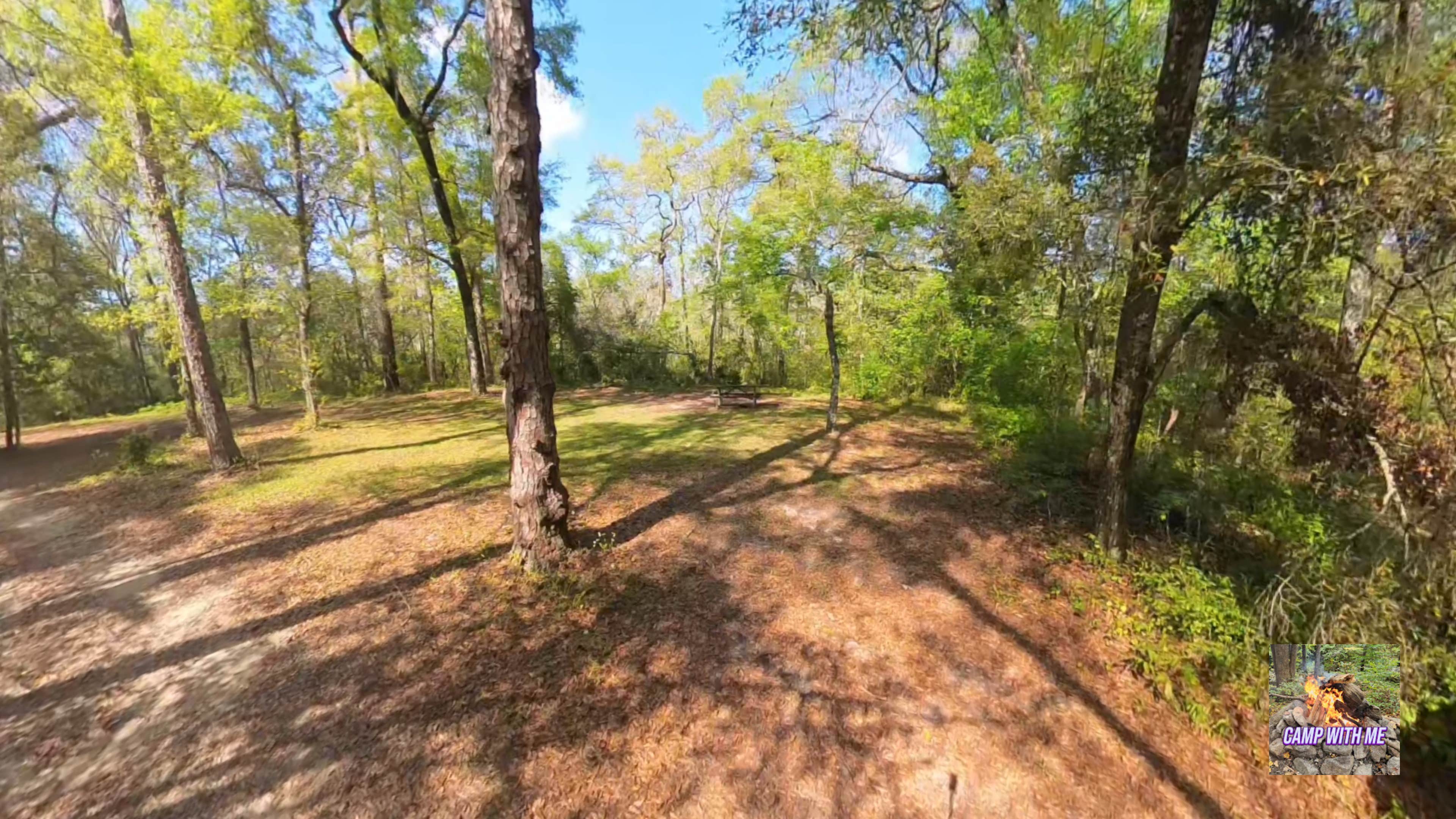 Camper-submitted photo at Hitchcock Lake Campground near Carrabelle, FL