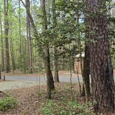 Review photo of West Morris Mtn. by Camp With Me , January 10, 2026