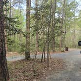 Review photo of West Morris Mtn. by Camp With Me , January 10, 2026