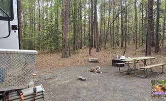 Camp With Me's photo at West Morris Mtn. near Cedar Grove, NC