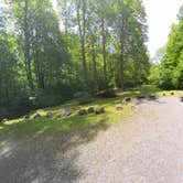 Review photo of Cranberry River Sites NF Campground by Camp With Me , January 11, 2026