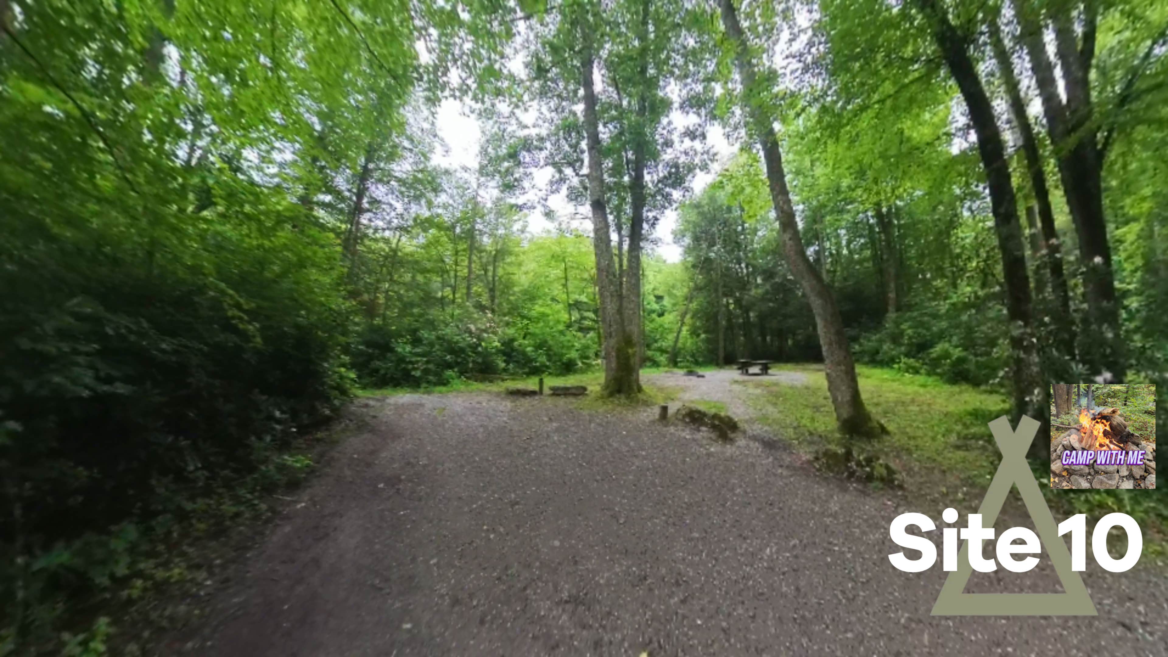 Camper submitted image from Cranberry River Sites NF Campground - 4