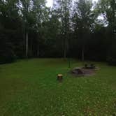 Review photo of Cranberry River Sites NF Campground by Camp With Me , January 11, 2026