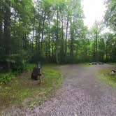 Review photo of Cranberry River Sites NF Campground by Camp With Me , January 11, 2026