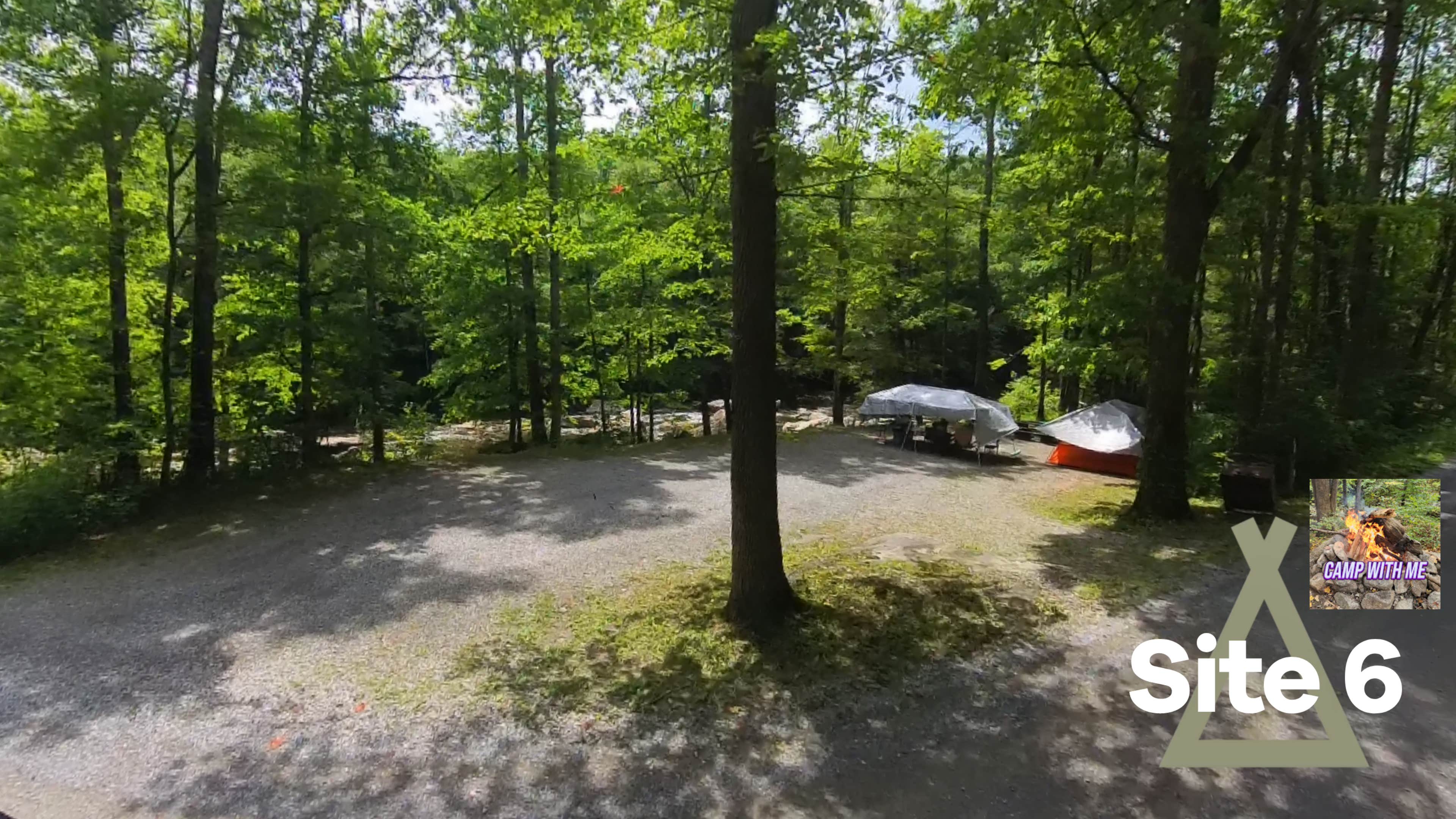 Camper submitted image from Cranberry River Sites NF Campground - 1