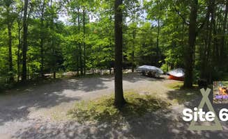Camp With Me's photo at Cranberry River Sites NF Campground near Craigsville, WV