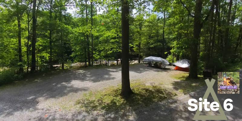 Camper submitted image from Cranberry River Sites NF Campground