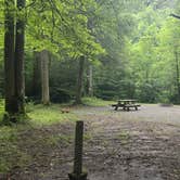 Review photo of Cranberry River Sites NF Campground by Camp With Me , January 11, 2026