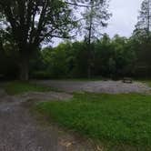 Review photo of Cranberry River Sites NF Campground by Camp With Me , January 11, 2026