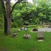 Review photo of Cranberry River Sites NF Campground by Camp With Me , January 11, 2026