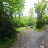 Review photo of Cranberry River Sites NF Campground by Camp With Me , January 11, 2026