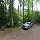 Review photo of Cranberry River Sites NF Campground by Camp With Me , January 11, 2026