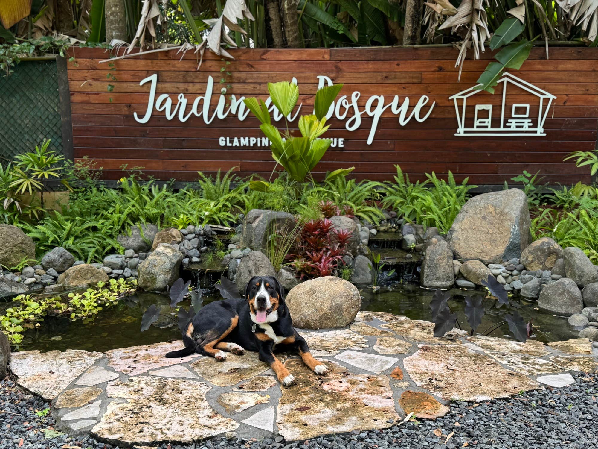 The Dyrt's photo of camping with pets at Jardin al Bosque Glamping in Puerto Rico
