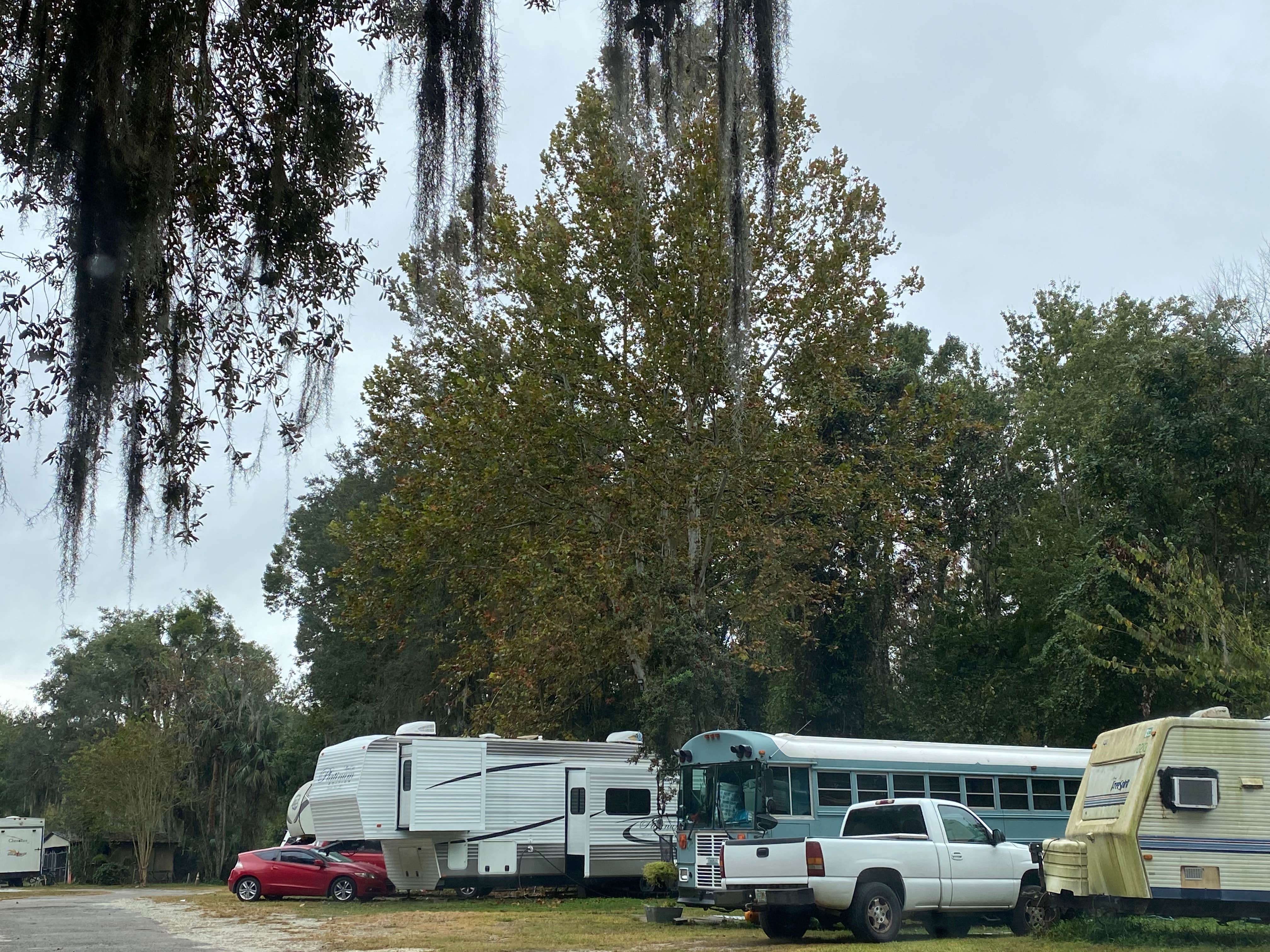 Camper-submitted photo at Half Shell Resort near Welaka, FL