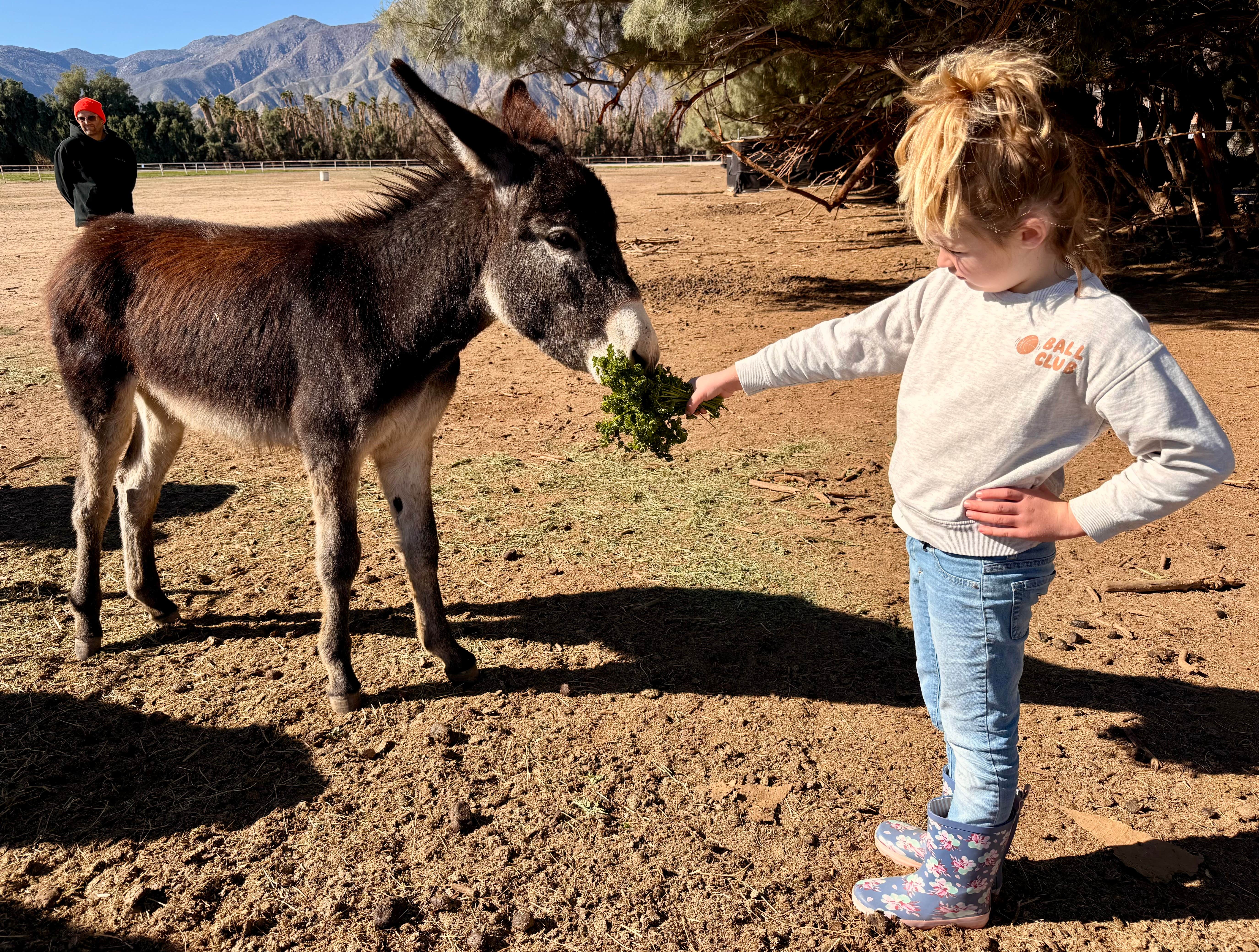 Camper submitted image from Riviera Farms - 1