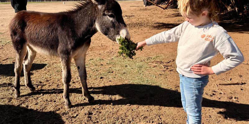 Camper submitted image from Riviera Farms