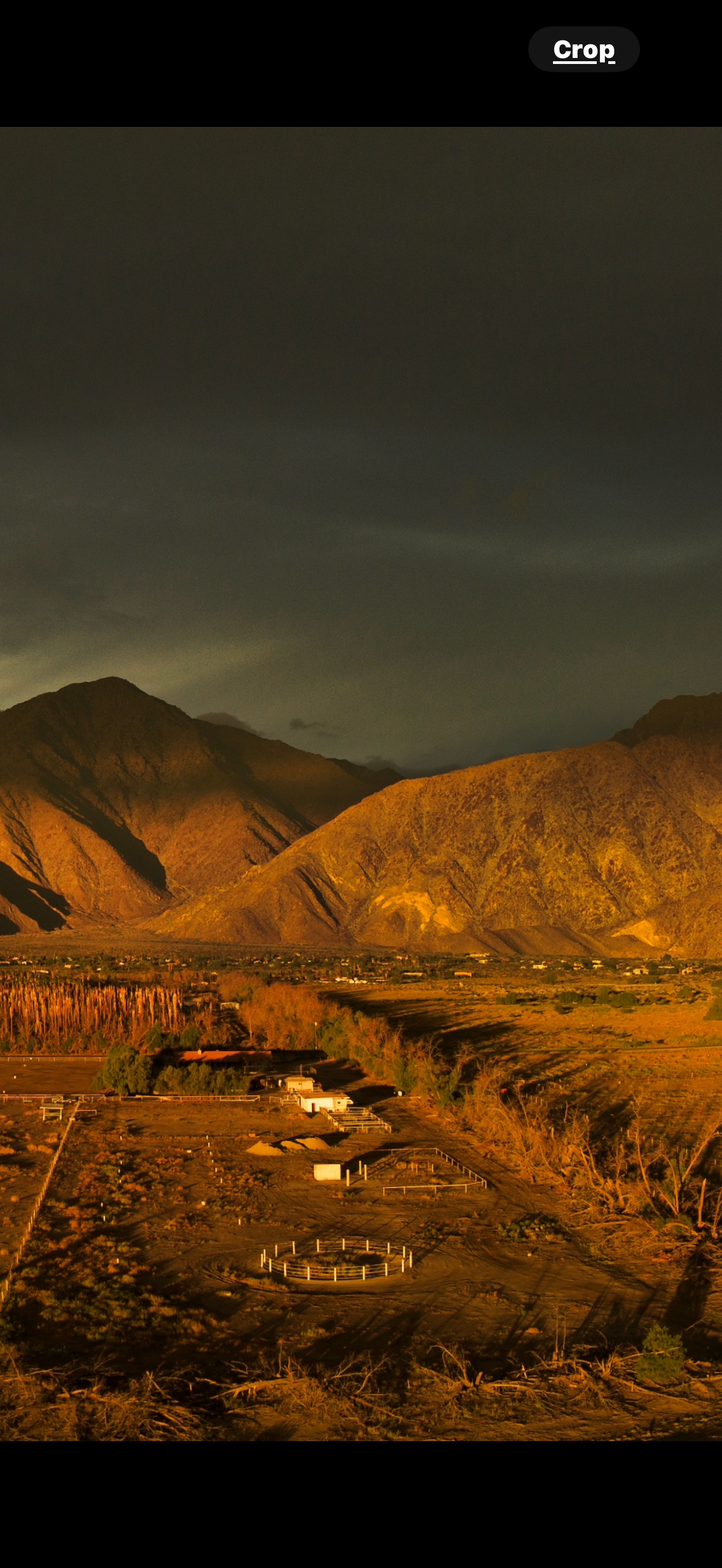 Camper submitted image from Riviera Farms - 2