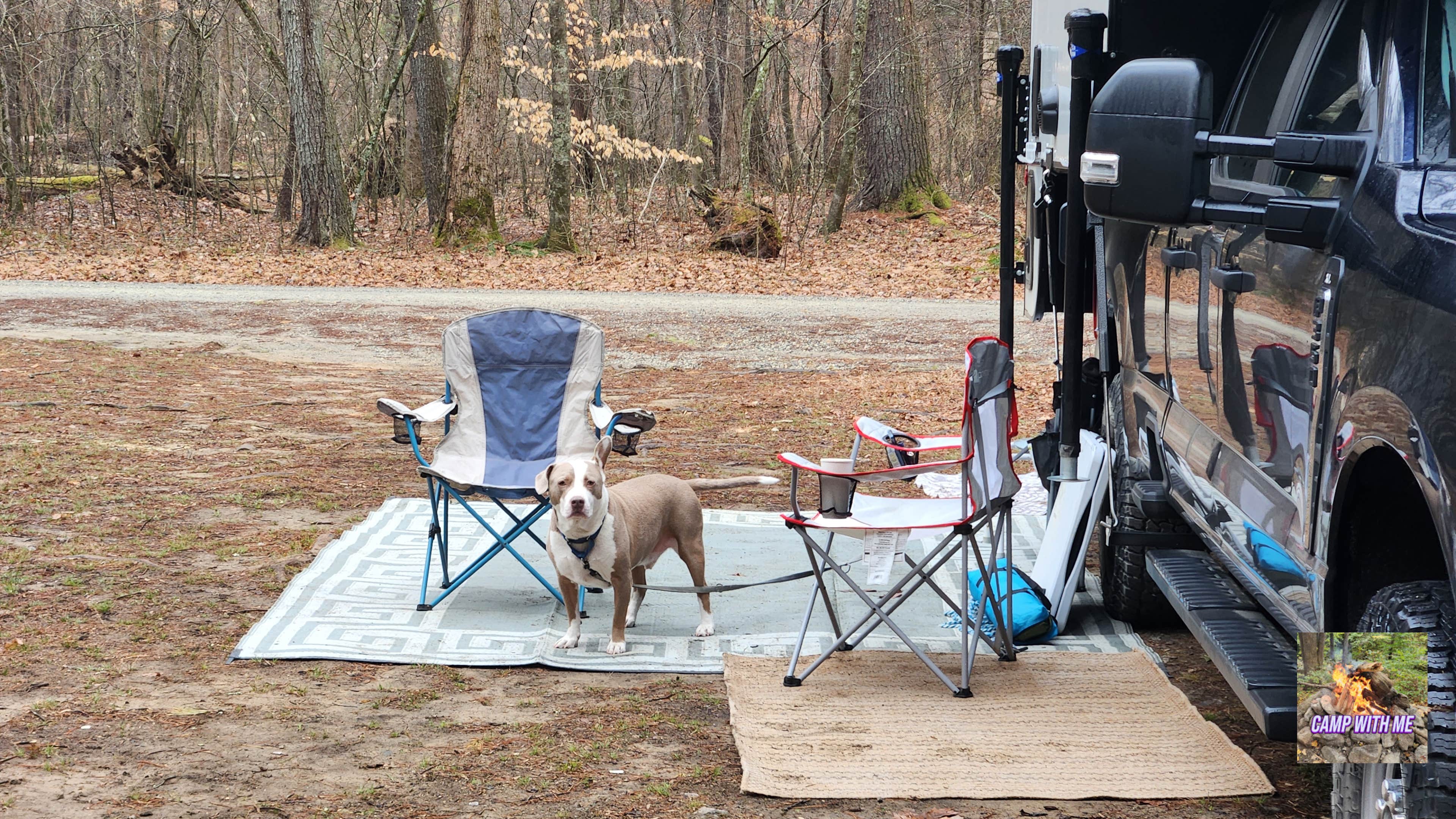 Camp With Me's photo at Reservoir Road Dispersed Campsite near Buena Vista, VA