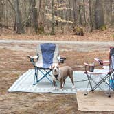 Review photo of Reservoir Road Dispersed Campsite by Camp With Me , January 12, 2026