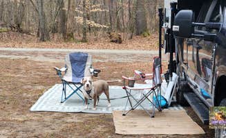 Camp With Me's photo of camping with pets at Reservoir Road Dispersed Campsite near Roseland, VA