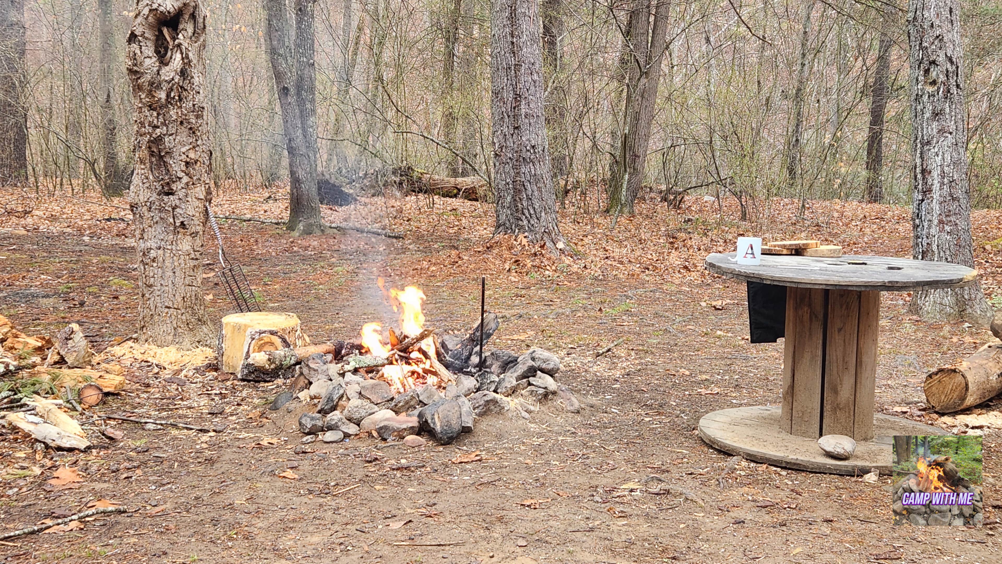 Camper-submitted photo at Reservoir Road Dispersed Campsite near Craigsville, VA