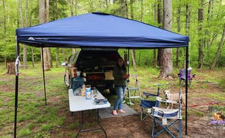 Camp With Me's photo of a dispersed camping area at Reservoir Road Dispersed Campsite near Waynesboro, VA