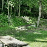 Review photo of Double Shoals Campground — New River Trail State Park by Camp With Me , January 12, 2026