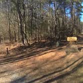 Review photo of Badin Lake Campground by Camp With Me , January 12, 2026