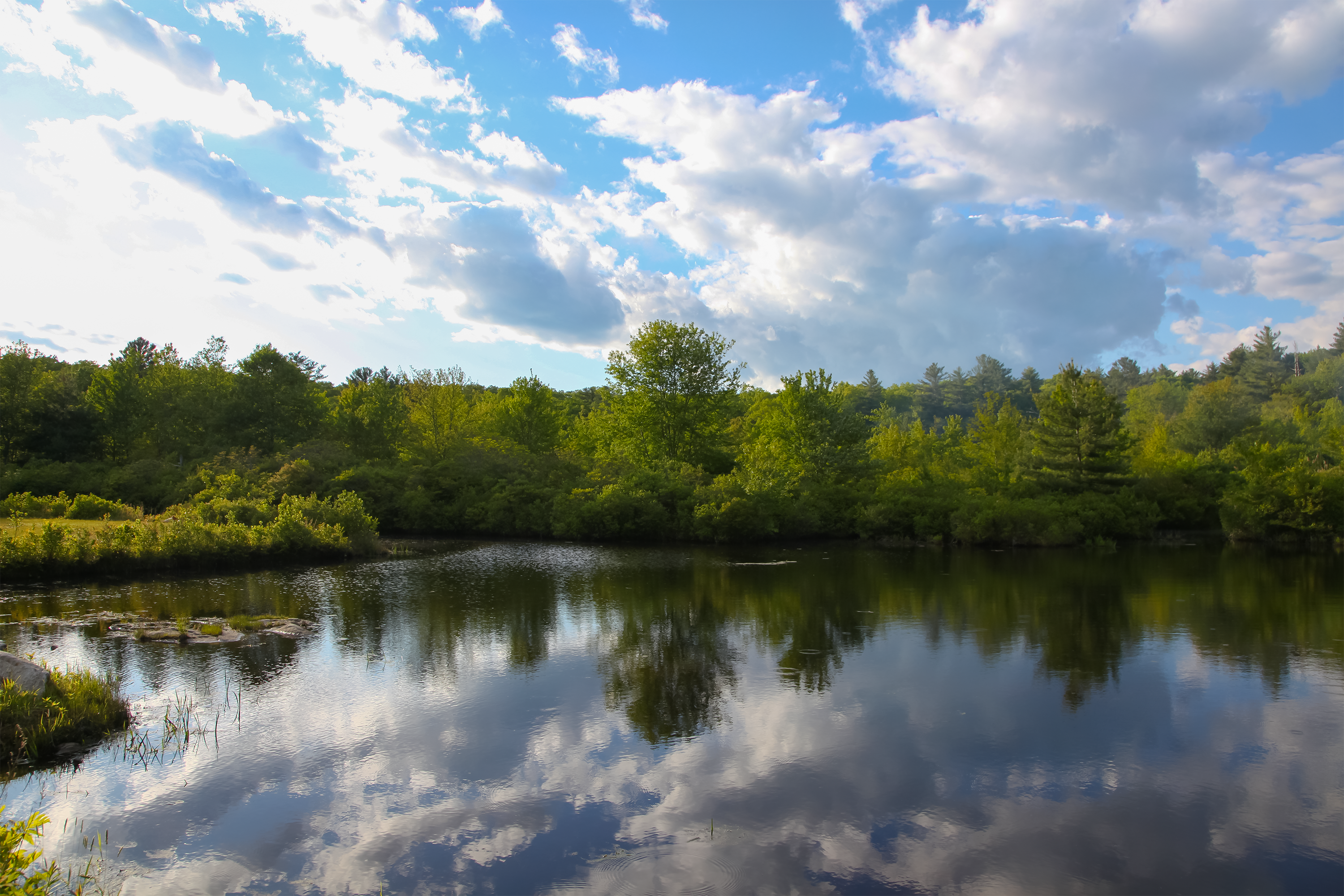 Camper-submitted photo at Gibson Hill RV Park near Moosup, CT