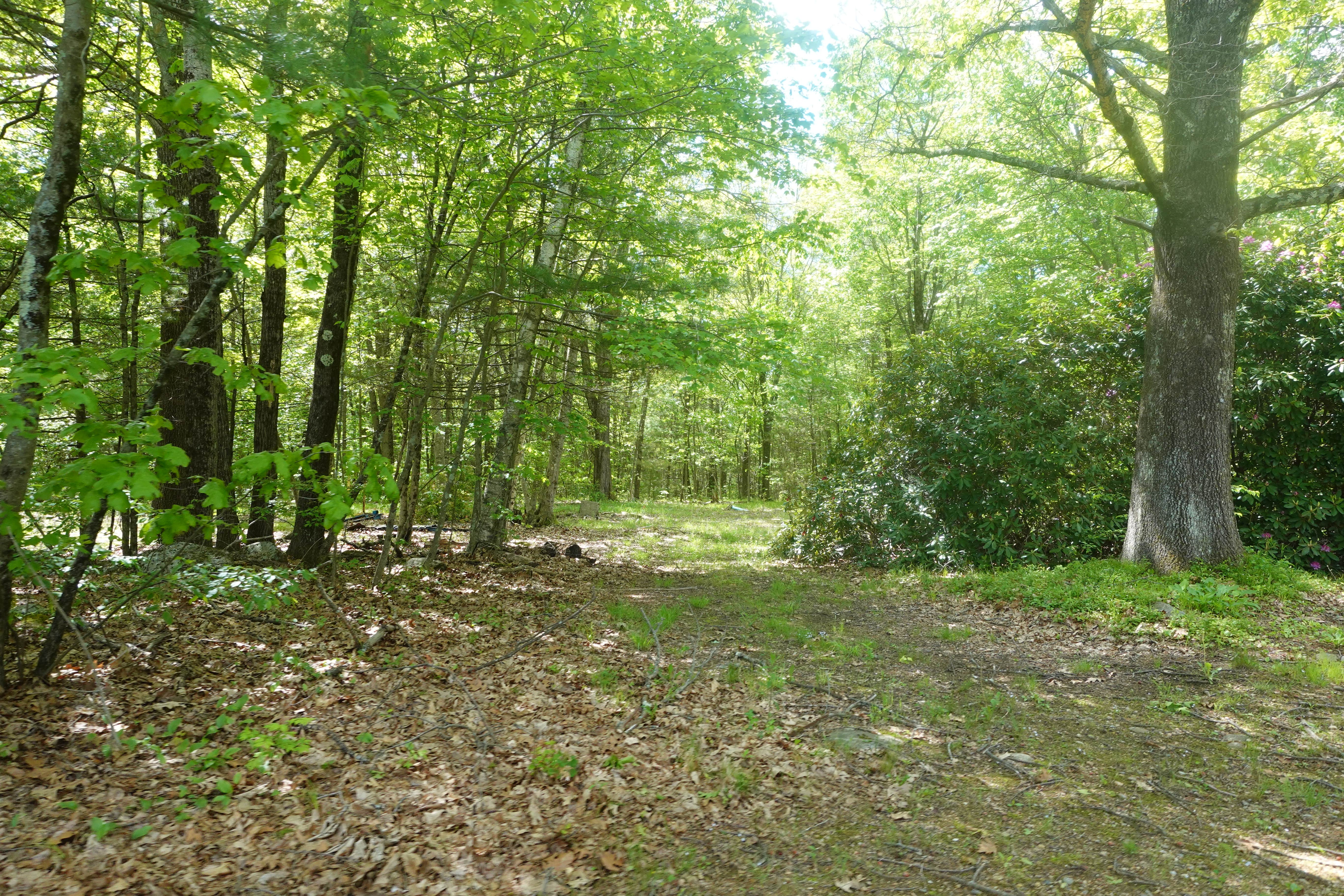 Camper submitted image from Highview Campground - 1