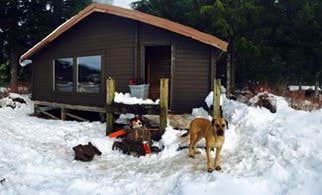 Camping near Polk Camp: Control Lake Cabin, Craig, Alaska