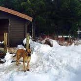 Review photo of Control Lake Cabin by Shawna M., September 29, 2016