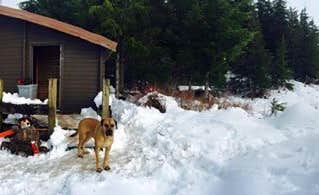 Shawna M.'s photo of a cabin at Control Lake Cabin near Ward Cove, AK