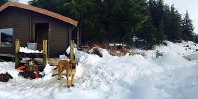 Camper submitted image from Control Lake Cabin