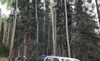 Ric M.'s photo of tent camping at Gray Copper Gulch near Ouray, CO