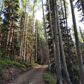 Review photo of Gray Copper Gulch by Ric M., January 14, 2026
