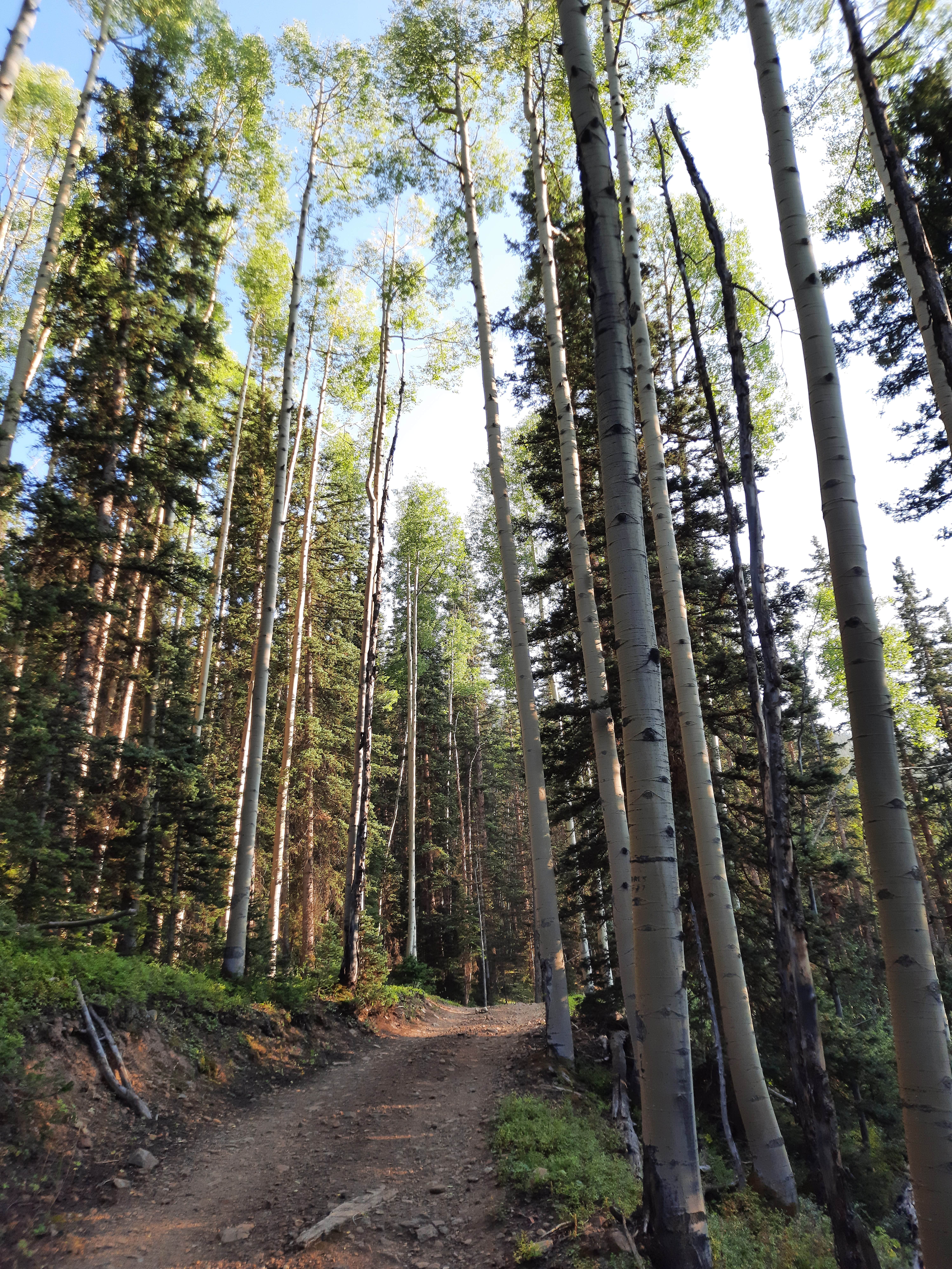 Camper submitted image from Gray Copper Gulch - 2