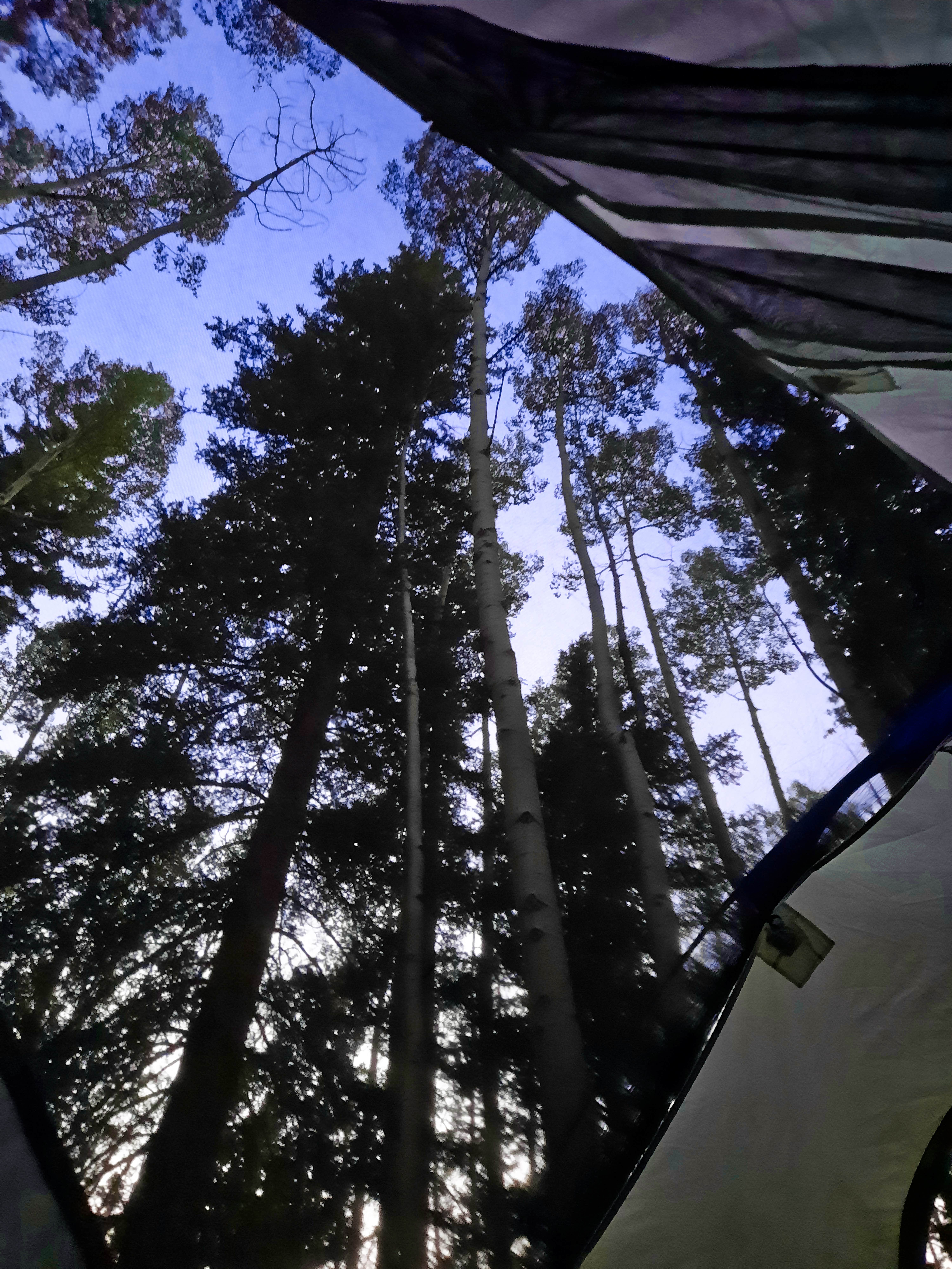 Camper-submitted photo at Gray Copper Gulch near Ridgway, CO