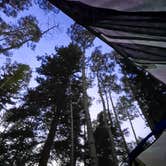 Review photo of Gray Copper Gulch by Ric M., January 14, 2026