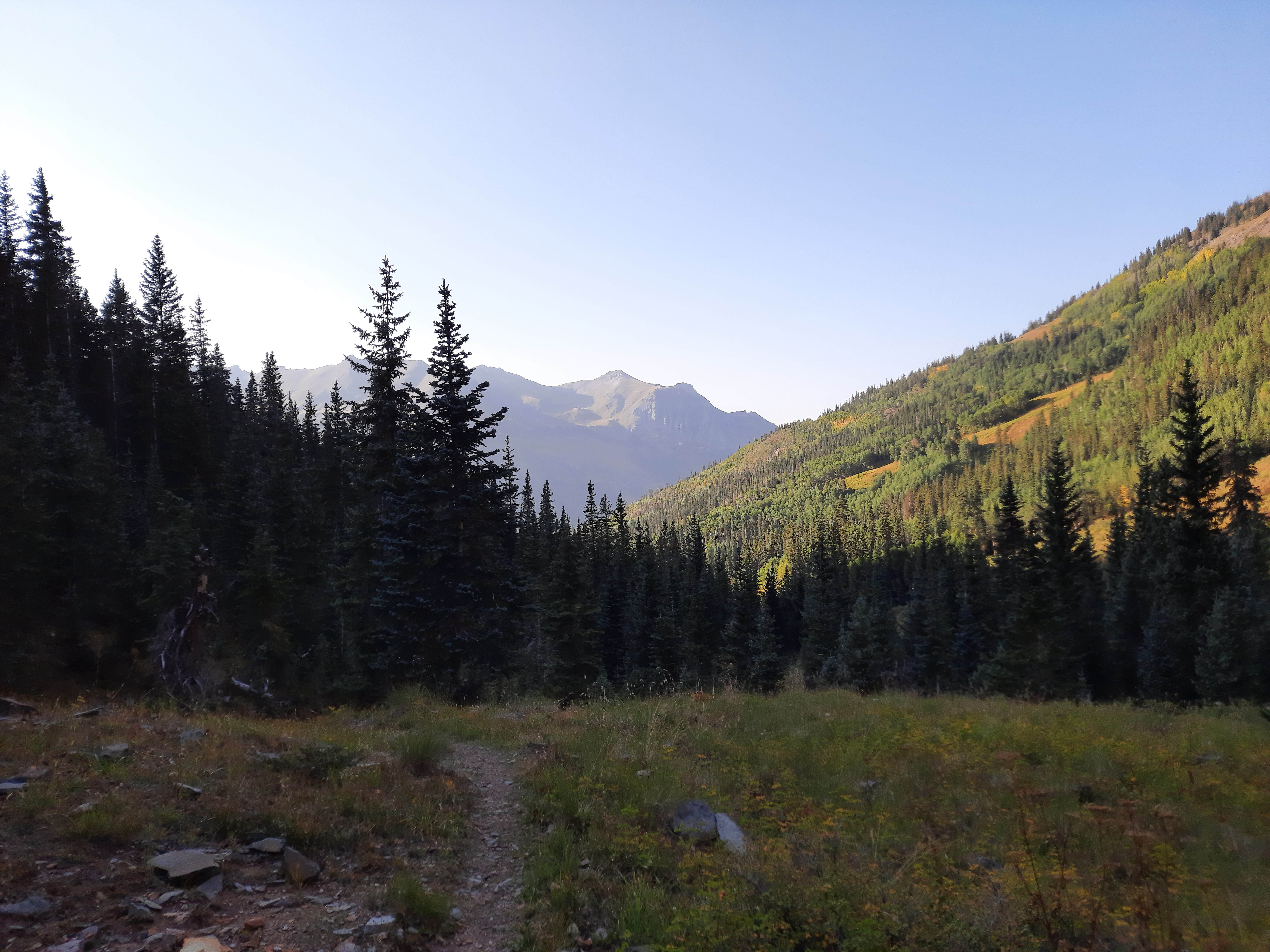 Camper-submitted photo at Gray Copper Gulch near Ridgway, CO
