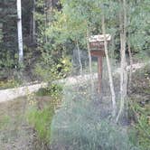 Review photo of Gray Copper Gulch by Ric M., January 14, 2026