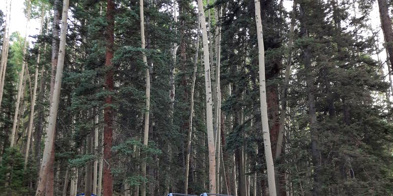 Camper submitted image from Gray Copper Gulch