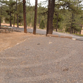 Review photo of North Campground — Bryce Canyon National Park by Becky , January 16, 2026