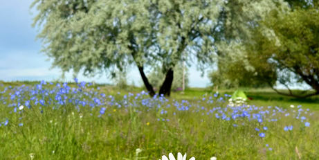 Camper submitted image from Willow Creek Retreat