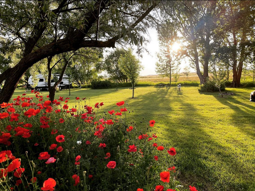 Camper-submitted photo at Willow Creek Retreat near Nine Mile Falls, WA