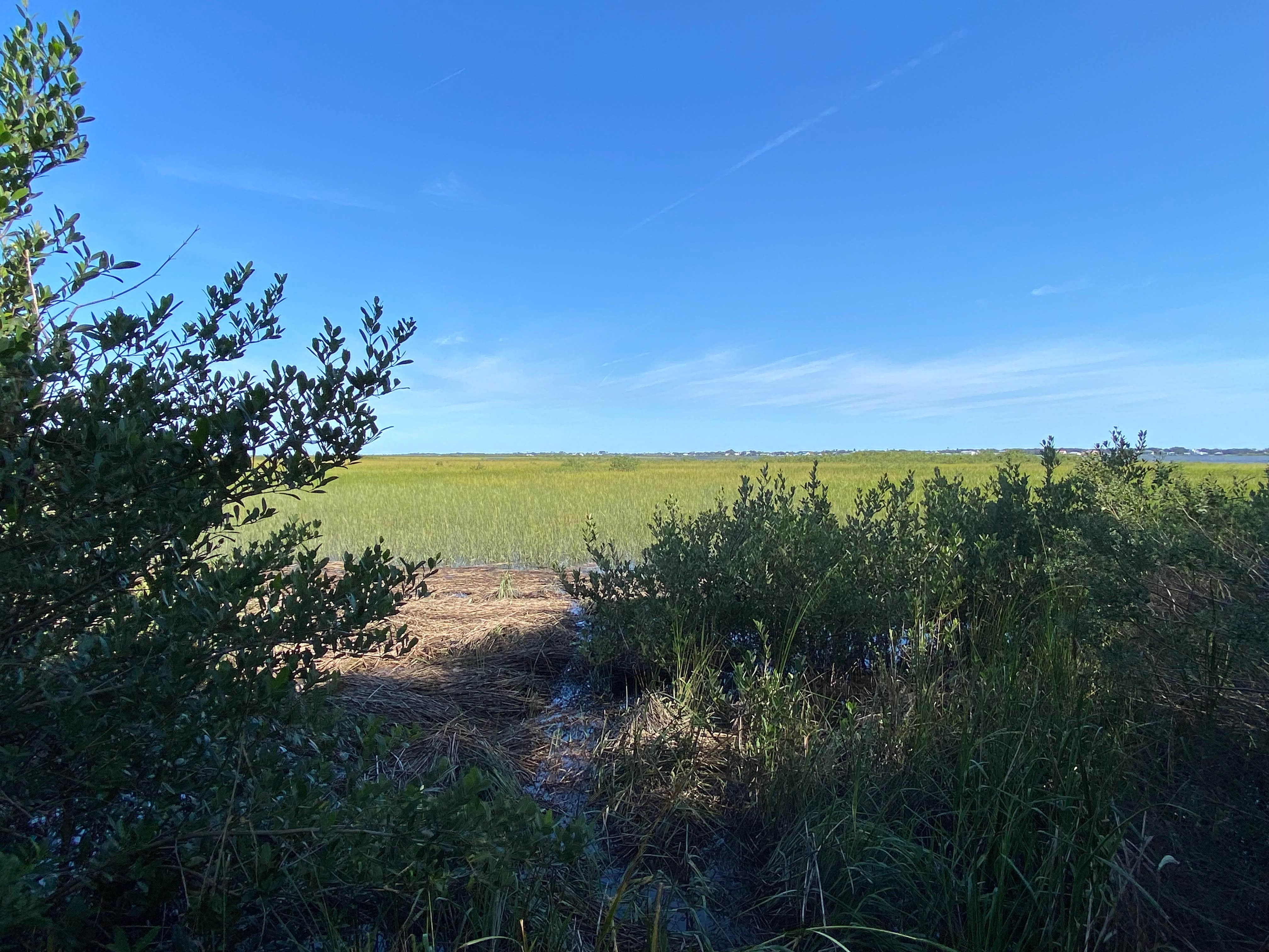 Camper submitted image from Braddock's Point Group Campground - Moses Creek Recreation Area - 3