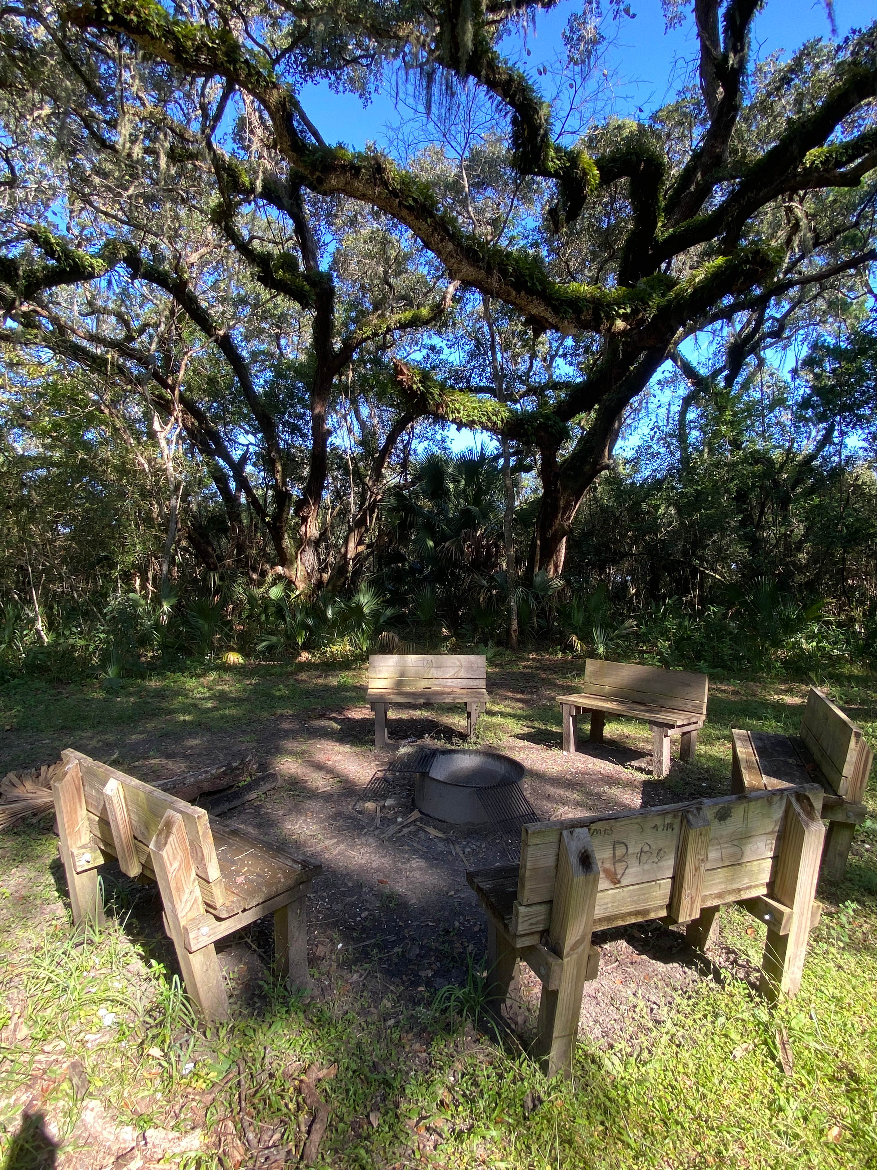 Camper-submitted photo at Braddock's Point Group Campground - Moses Creek Recreation Area near Palm Coast, FL