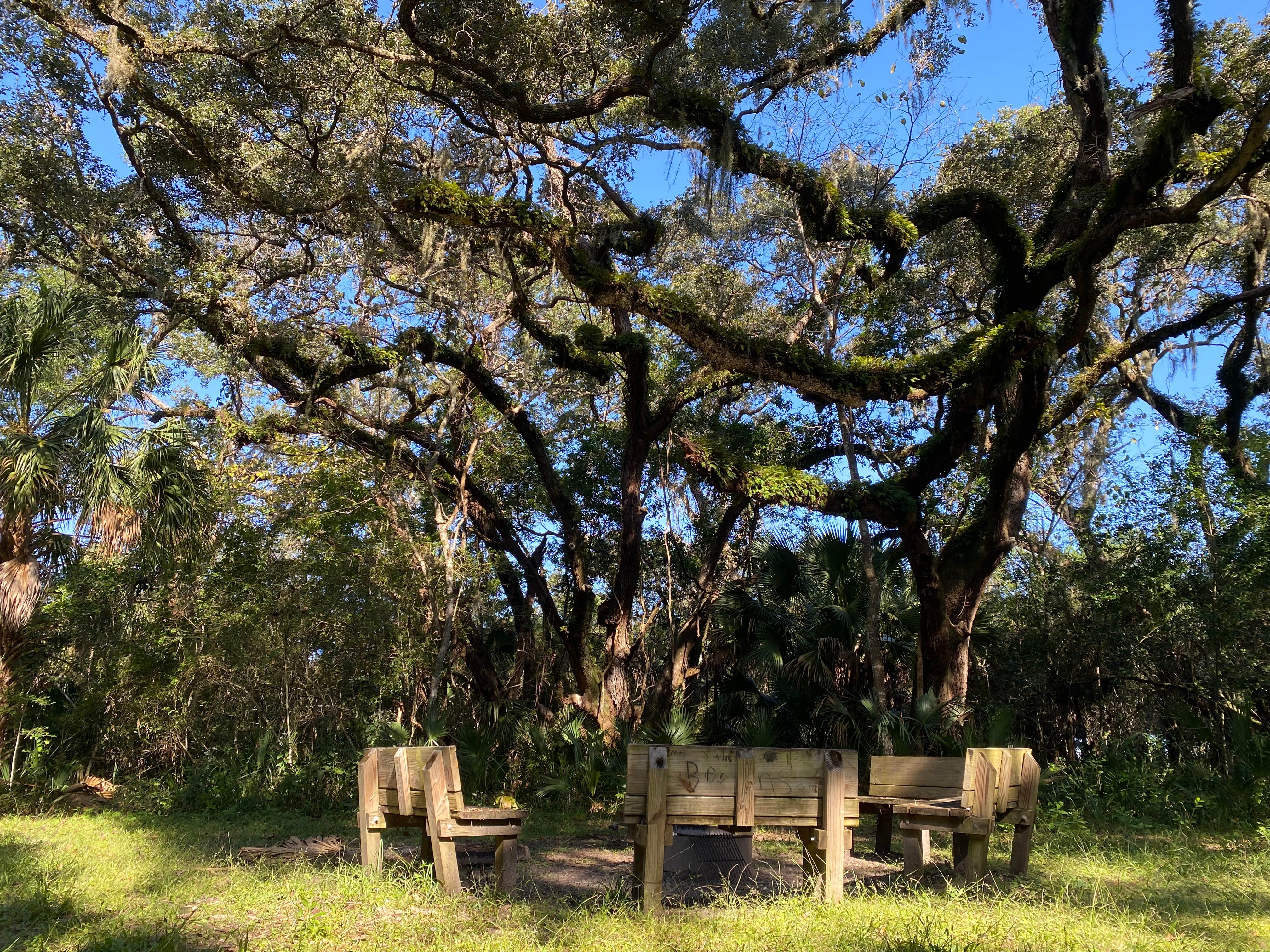 Camper-submitted photo at Braddock's Point Group Campground - Moses Creek Recreation Area near Palm Coast, FL