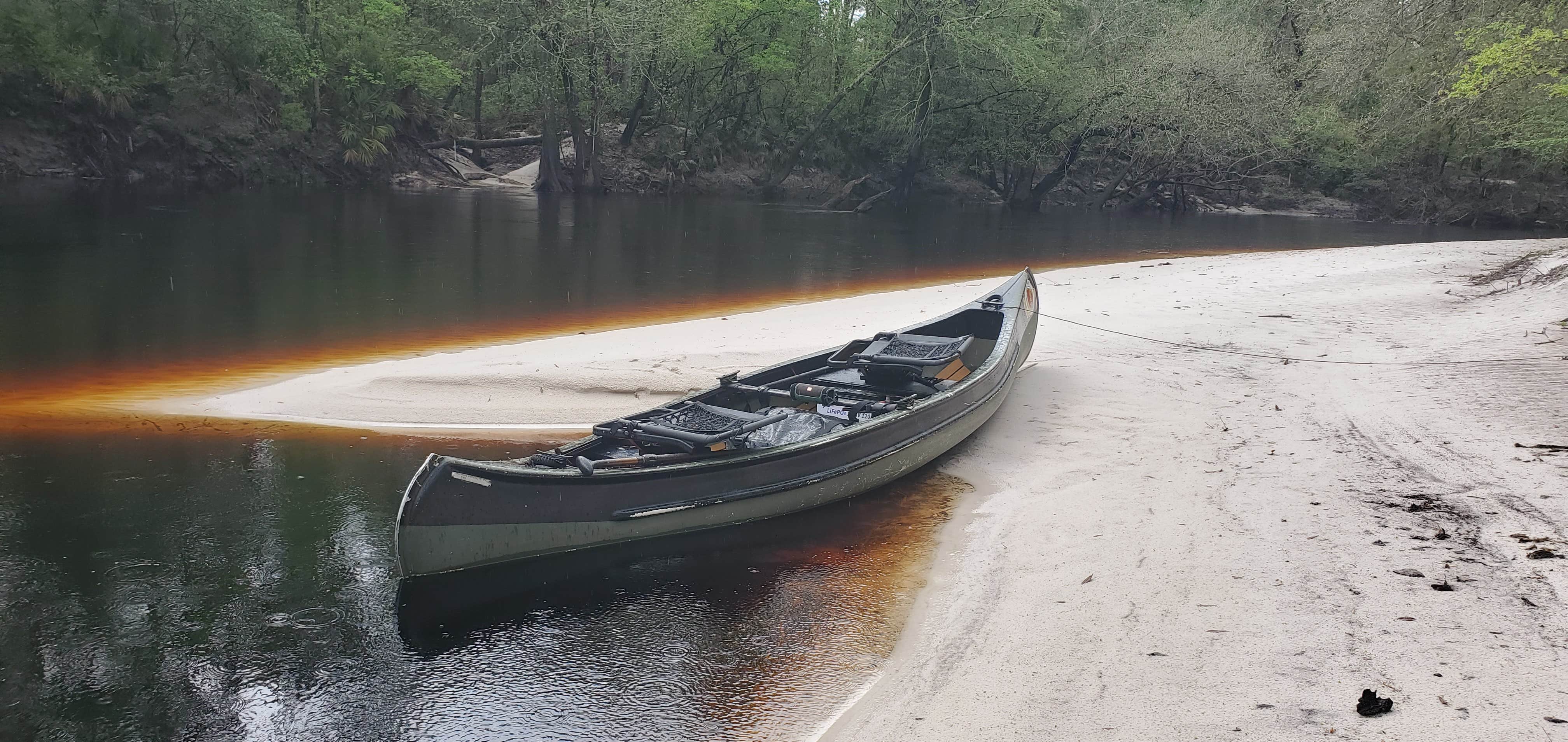 Camper submitted image from Blackwater Ranch – River Camping - 1